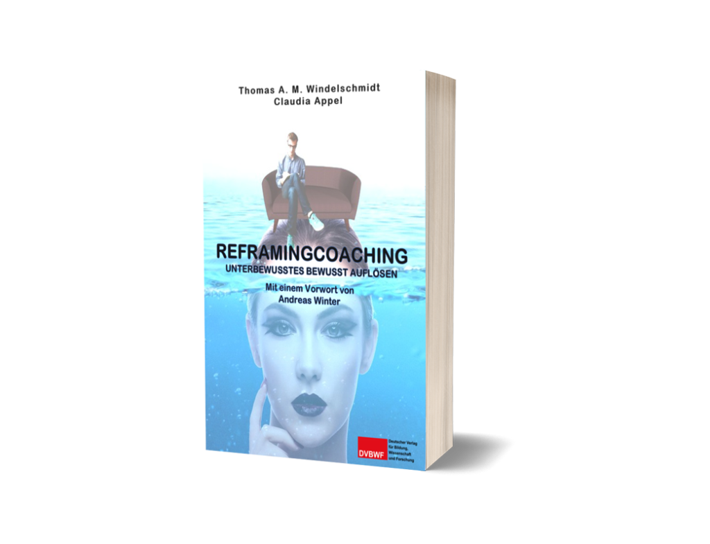 Reframingcoaching_omniavision
